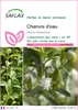 SAFLAX  - Chanvre d'eau - 100 graines - Stevia Voir les images du produit 1