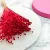 Flachs Getrocknete - (Leinen) - Rot Produktbild-Vorschau 5
