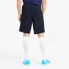 PUMA teamGOAL 23 Casuals Shorts Produktbild-Vorschau 21