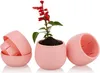 Lot de 7 pots de fleurs avec drainage 0,55 L pour cactus, Voir les images du produit 12