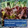 Kiepenkerl - Salatgurke Gergana Samen - 1008450 Produktbild-Vorschau 4