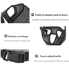 Collage of images showing features of a dog muzzle. Produktbild-Vorschau