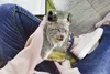 MuchoWow® Handyhülle Schutzhülle Hülle für iPhone 12 Pro Produktbild-Vorschau 3