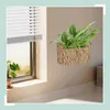 Relaxdays Blumenampel Wasserhyazinthe, Kräuter, Pflanzen, Produktbild-Vorschau 2