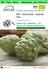 SAFLAX Garden to go - BIO - Artischocke - Imperial Star - Produktbild-Vorschau 1