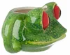 Kaffeebecher/Tasse Froschdruck 400 ML - Frosche/Tiere Produktbild-Vorschau 2