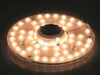 Modulo ad anello LED per plafoniere 24W Ø18cm 2150lm bianco Anteprima dell’immagine prodotto 15