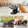 Katzennapf Erhöht Futternapf, Katze Katzenfressnapf, Erhöht Produktbild-Vorschau 6