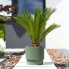 Blumentopf Milly für Innen- und Außenbereich Pflanzgefäß Produktbild-Vorschau 2