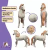 schleich HORSE CLUB Andalusier Hengst, 5 Jahr(e), Horses, Produktbild-Vorschau 4