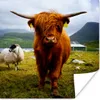 MuchoWow® Poster Schottischer Highlander - Leicht - Schaf Produktbild-Vorschau 1