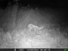 Outdoor Wildlife Hunting Trail und Wildkamera OXE Gepard Produktbild-Vorschau 32