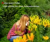 Pollenschutzvlies Pollenschutzgitter Insektenschutz für Produktbild-Vorschau 2