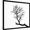 MuchoWow® Gerahmtes Poster Silhouette eines Baumastes 40x40 Produktbild-Vorschau 1