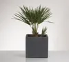 Scheurich Pflanzkasten 60/240  " C-Cube Long "  Stony Black Produktbild-Vorschau 5