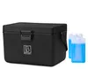 A black cooler box with two blue ice packs next to it, on a white background. Produktbild-Vorschau