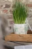 A potted plant with green grass-like leaves sits in a decorative pot on a wooden tray, with a brick wall in the background. Podgląd zdjęcia produktu