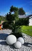 A garden scene with decorative spheres and a pine tree. Produktbild-Vorschau