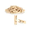 COM-FOUR® 120x Mini-Wäscheklammer aus Lotusholz, kleine Produktbild-Vorschau 9