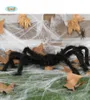 Guirca Spinne 70 Cm    One Size Produktbild-Vorschau 7