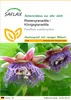 SAFLAX - Riesengranadilla / Königsgranadilla - Passiflora Produktbild-Vorschau 1