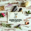 Mr. & Mrs. Panda Etui Koala Geschenk Grösse XL Große - Weiß Produktbild-Vorschau 2