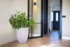 A large potted plant sits in a modern hallway next to a glass door. Produktbild-Vorschau