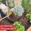 A person is planting a small shrub in a raised garden bed. Produktbild-Vorschau