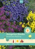 Artikelbild 1 von 'Steingarten-Stauden Winterharte Mischung' aus der Kategorie Blumensamenmischung Produktbild-Vorschau