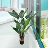 Strelitzia Plante Artificielle Artificiel Plastique Pot Voir les images du produit 3