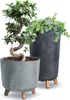 Two potted plants are displayed against a white background. One is a bonsai tree in a gray pot with wooden legs, and the other is a taller, dark gray pot with a trailing green plant. Produktbild-Vorschau