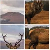 Poster - Poster ohne Rahmen - Rehe Wiese Berge - 91,5x61 cm Produktbild-Vorschau 8
