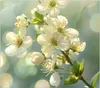 Spritzschutz Herdabdeckplatte Schneidebrett aus Glas Produktbild-Vorschau 1