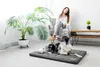 A woman sits in a chair next to a large potted plant, while a dog lies on a dog bed in the foreground. Náhľad obrázku produktu