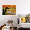 ARTland Poster Herbsttag an einem ruhigen See Größe: 40x30 Produktbild-Vorschau 5