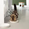 Beeztees Kitten Zina - Ciotola per gatti - grigio - Anteprima dell’immagine prodotto 5