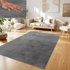 A living room scene with a rug, sofa, and plants. Voir les images du produit