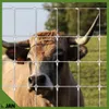 Wildzaun - Knotengeflecht - verzinkt Forstzaun - 150/11/15 Produktbild-Vorschau 3