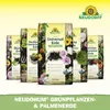 Neudorff NeudoHum Grünpflanzen- & PalmenErde 10 Liter Produktbild-Vorschau 5