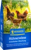 Kiepenkerl Saatgut Hühnerwiese für 20 m² 0,3 kg Produktbild-Vorschau 3