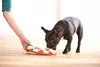 Outward Hound Dog Smart, Hund, Interaktives Spielzeug, Produktbild-Vorschau 12