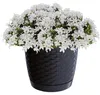 Prosperplast Pflanzentopf/Blumentopf - Kunststoff - D19 x Produktbild-Vorschau 2
