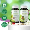 Biostile Liver Protect Complete – Con cardo mariano, colina Anteprima dell’immagine prodotto 6