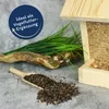 A bird feeder filled with birdseed, a wooden scoop with buckwheat, and artificial grass on a grey concrete background. Produktbild-Vorschau