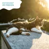 A cat is lying on a stone ledge in the sun, with text overlays. Produktbild-Vorschau