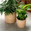 Rattan Korb Topf 3er Set rund mit Einsatz Blumentopf Produktbild-Vorschau 6