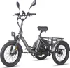 FAFREES F20 Mate E-Lastenrad - Akku 48V21AH 20-Zoll-Rädern Produktbild-Vorschau 1