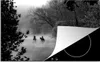 KitchenYeah© Herdabdeckplatte Pferde - Nebel - Wald , Produktbild-Vorschau 1