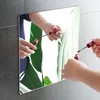 A person is applying lipstick in front of a mirror, with green leaves reflected in the mirror. Anteprima dell’immagine prodotto
