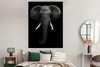 MuchoWow® Poster Elefant - Wildtiere - Schwarz - Weiß - Produktbild-Vorschau 4
